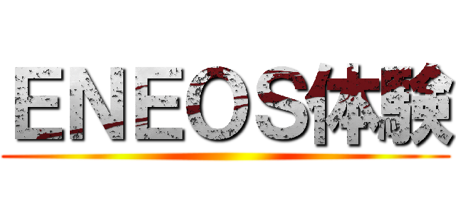 ＥＮＥＯＳ体験 ()