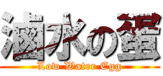 滷水の蛋 (Low Water Egg)