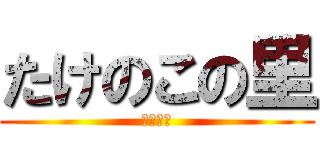 たけのこの里 (????)