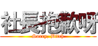社長抱歉呀 (Sorry, Bitch)