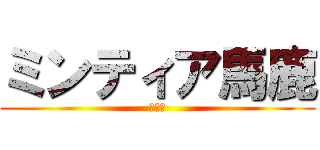 ミンティア馬鹿 (の日常)