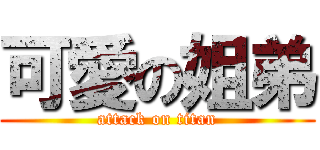 可愛の姐弟 (attack on titan)