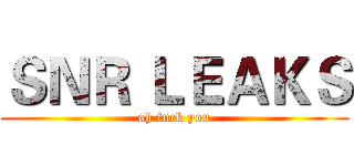 ＳＮＲ ＬＥＡＫＳ (oh fuck you)