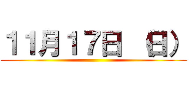 １１月１７日 （日） ()
