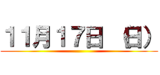 １１月１７日 （日） ()