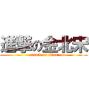 進撃の金北宋 (attack on titan)