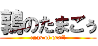 鶉のたまごぅ (eggs of quail)