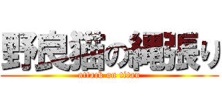 野良猫の縄張り (attack on titan)