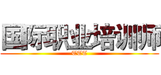 国际职业培训师 (TTT)