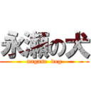 永瀬の犬 (nagase  dog)