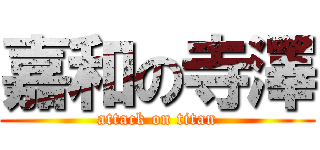 嘉和の寺澤 (attack on titan)