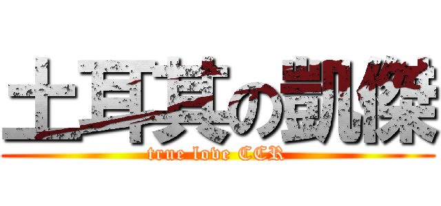 土耳其の凱傑 (true love CCR)