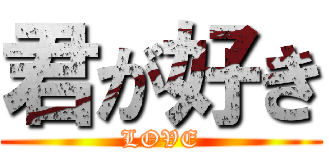 君が好き (LOVE)
