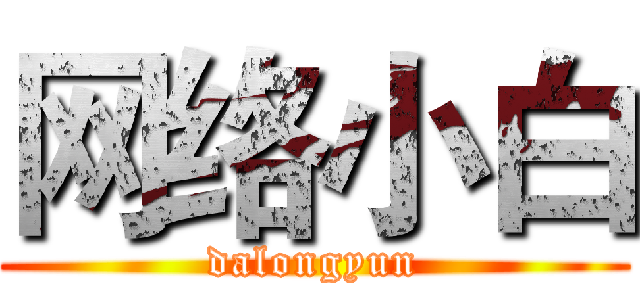 网络小白 (dalongyun)