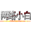 网络小白 (dalongyun)