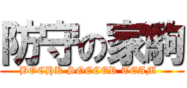 防守の家駒 (BOCHK SOCCER TEAM  )
