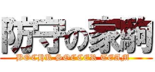 防守の家駒 (BOCHK SOCCER TEAM  )