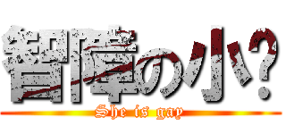 智障の小貓 (She is gay)