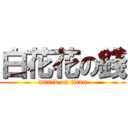 白花花の錢 (attack on titan)