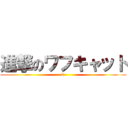進撃のワフキャット (k)
