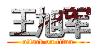 王旭军 (attack on titan)