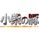 小柴の豚 (attack on titan)