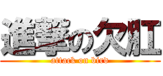 進撃の欠肛 (attack on bird)