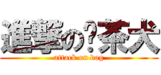進撃の奶茶犬 (attack on dog)