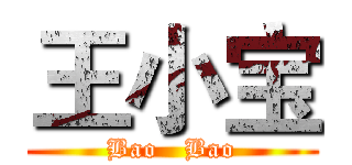 王小宝 (Bao   Bao)