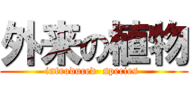 外来の植物 (introduced  species )