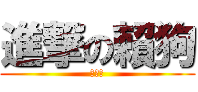 進撃の賴狗 (就是狗)