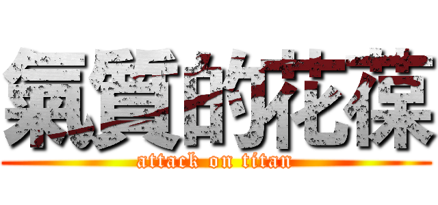 氣質的花葆 (attack on titan)