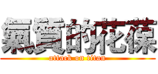 氣質的花葆 (attack on titan)