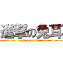 進撃の兔耳 (cat or rabbit)