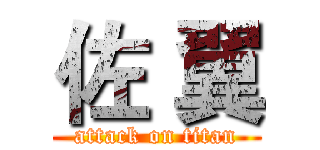 佐 翼 (attack on titan)