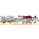 珍撃の可愛小 (attack on titan)