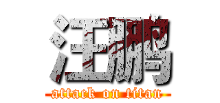 汪鹏 (attack on titan)