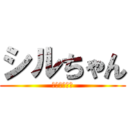 シルちゃん (ｗｋｔｋ！！)