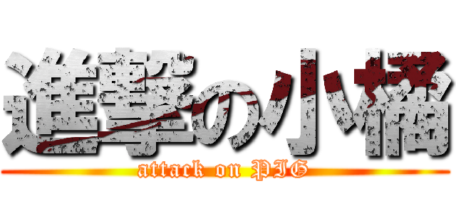 進撃の小橘 (attack on PIG)