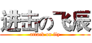 进击の飞辰 (attack on fly)