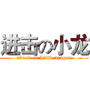 进击の小龙 (attack on Little dragon)