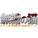 無糖の猫 (cat without sugar)