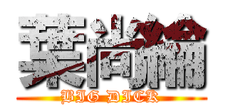 葉尚綸 (BIG DICK)