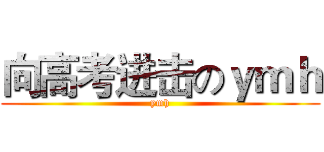 向高考进击のｙｍｈ (ymh)
