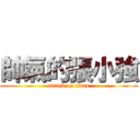 帥氣的張小強 (attack on titan)