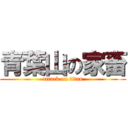 青葉山の家畜 (attack on titan)