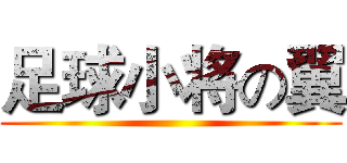 足球小将の翼 ()