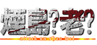 煙島ㄟ老搞 (attack on shao wei)