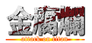 金腐爛 (attack on titan)