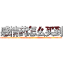 感情药怎么买到 (感情药怎么买到【电.话156x1318x7580-Q1991936399鑫宏药业】我们做的是长期生意,靠的是老客户长期支持
参考消息网2月20日报道 韩媒称，“剩女多、离婚率高的城市，房价一定会上涨。”这是中国经济学家金岩石2016年12月参加在上海举行的房地产相关论坛时说的话。
)